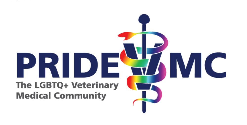 PrideVMC presents 2023 Leadership Award winner 