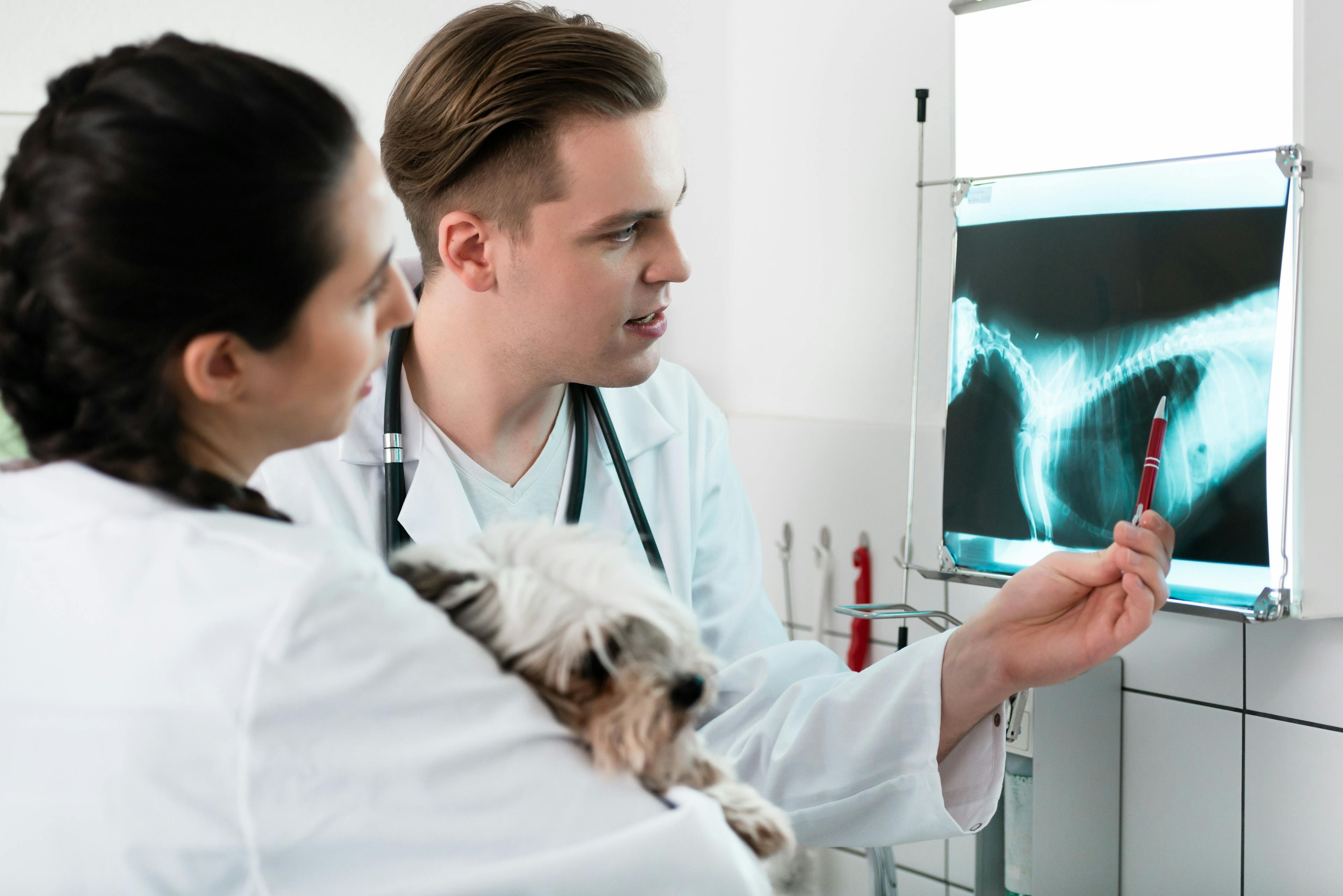 Two veterinary professionals discuss imaging results