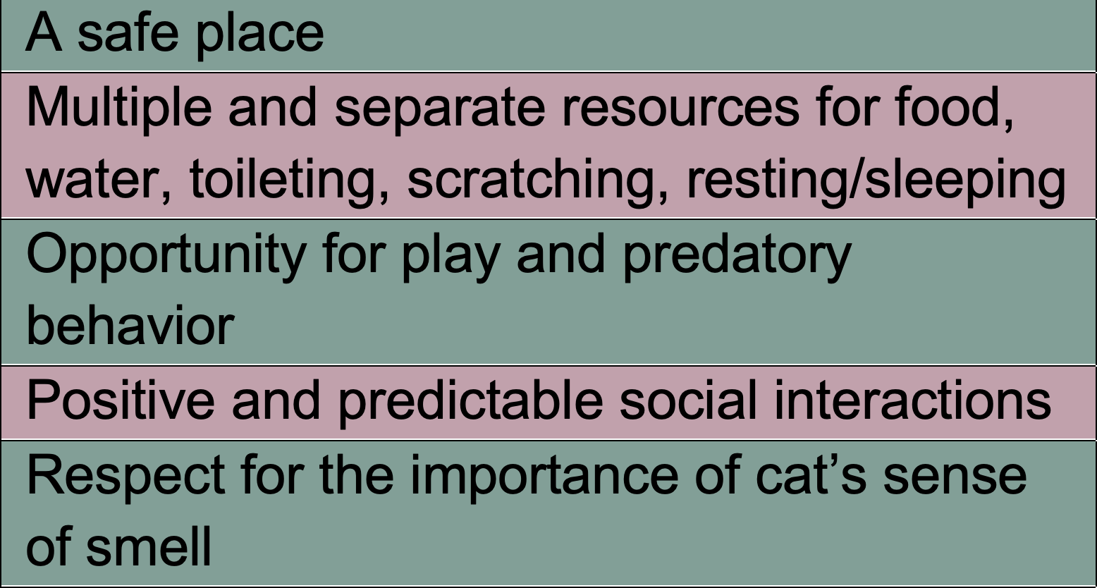 Table 2. The 5 pillars of a healthy feline environment