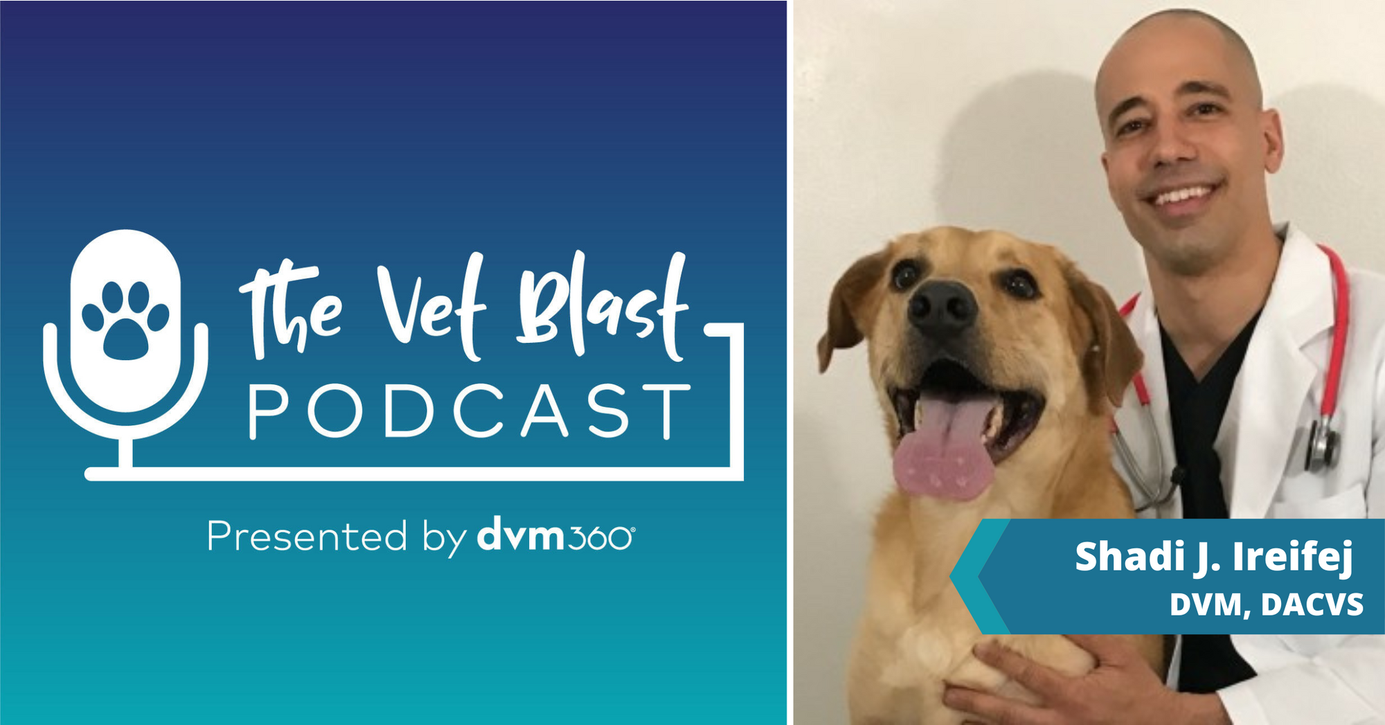 Top dvm360 podcasts of 2022: #1