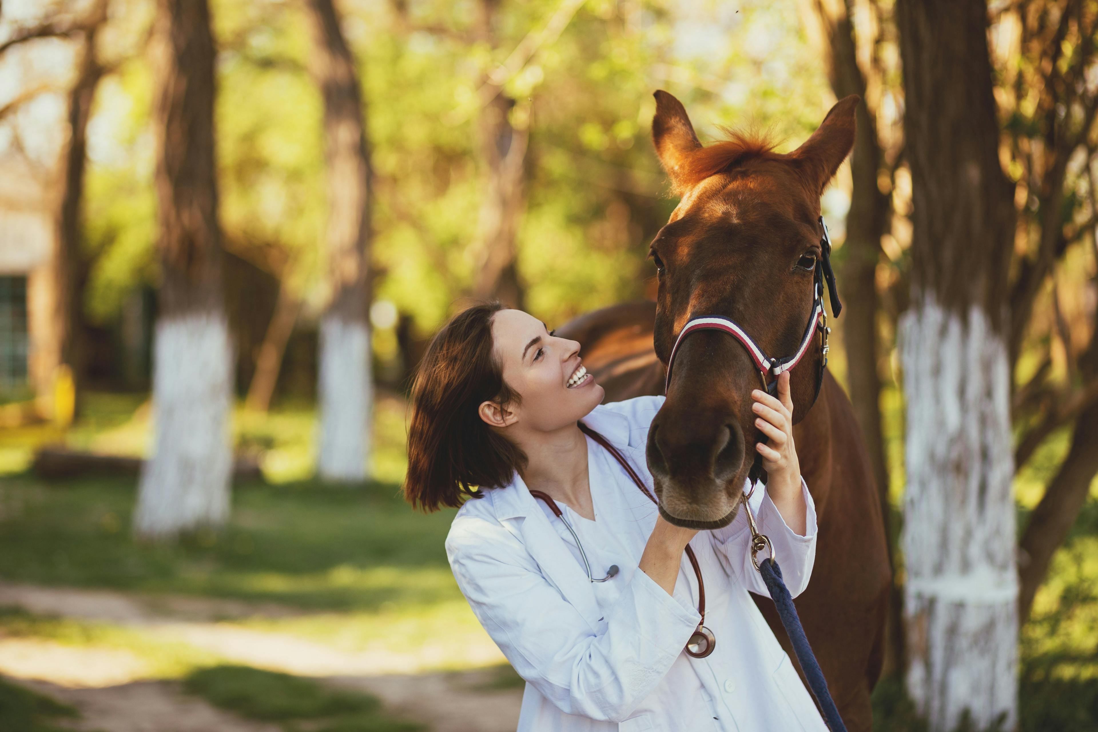 Veterinarian smiling and petting horse