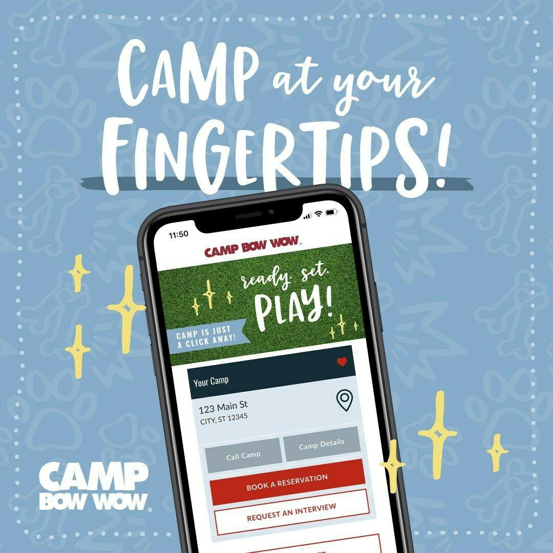 Camp Bow Wow debuts new app 