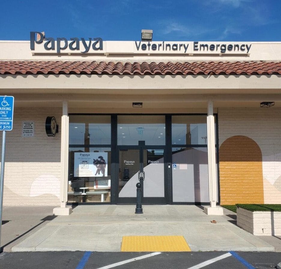 Papaya Veterinary Care emergency hospital in Encinitas, California. (Photo courtesy of Papaya)