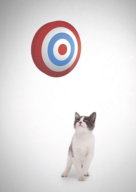 veterinary-cat-digital-composite-of-cat-watching-target-450xp-shutterstock-1039916878.jpg