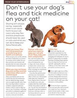 veterinary-handout-flea-and-tick-medication-250.jpg