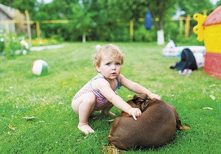 veterinary-the-charming-little-girl-plays-with-a-dog-on-grass-450px-shutterstock-445652227.jpg