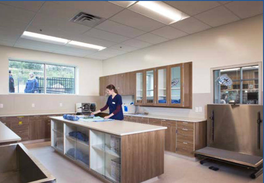 The pack prep room at Prescott Animal Hospital in Prescott, Arizona, has ample and varying storage options to allow the counters to be clear and clean. (Photo by Murphy Foto Imagery)