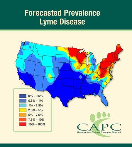 CAPC predicts higher heartworm risk, continued spread of Lyme disease in 2019