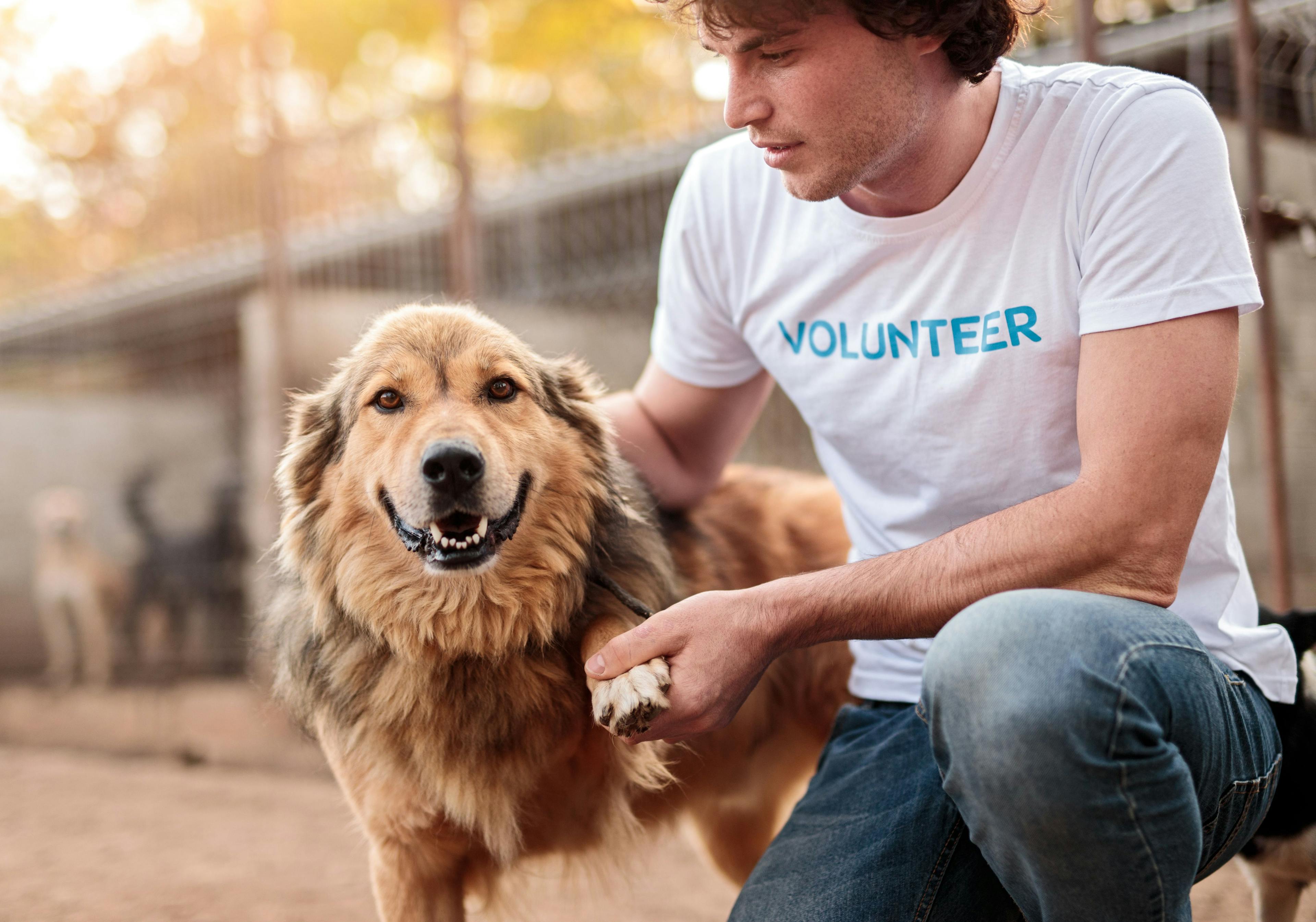 Veterinary nonprofit reaches milestone in grant funding 