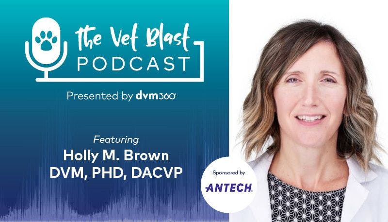 Vet Blast Podcast with Holly M. Brown