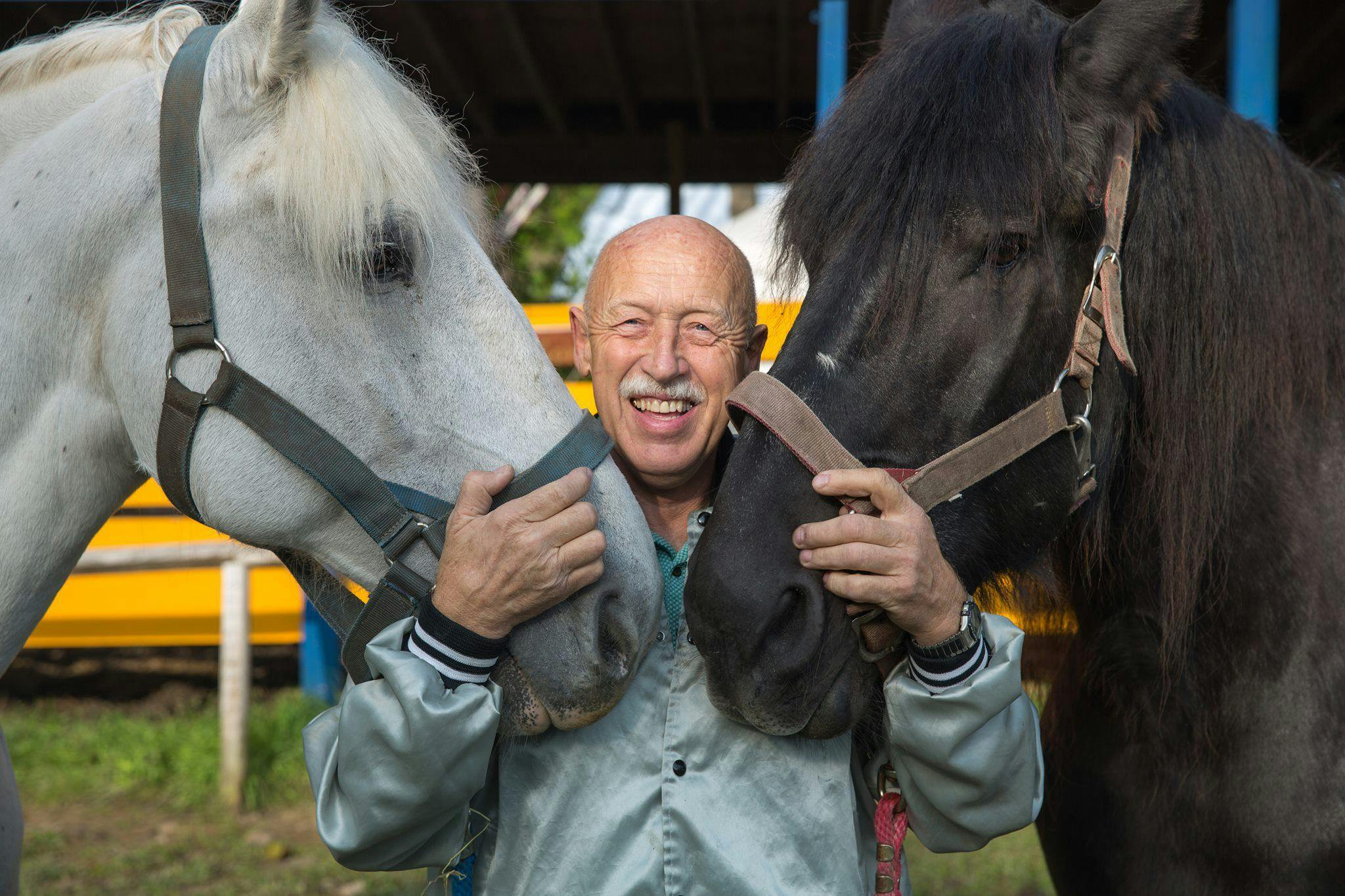Dr. Pol petting two horses