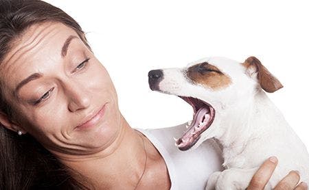 veterinary-woman-dog-bad-breath-AdobeStock_165451456-450.jpg