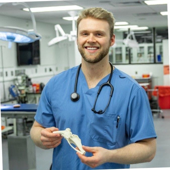 Innovative 3D models advancing veterinary medicine