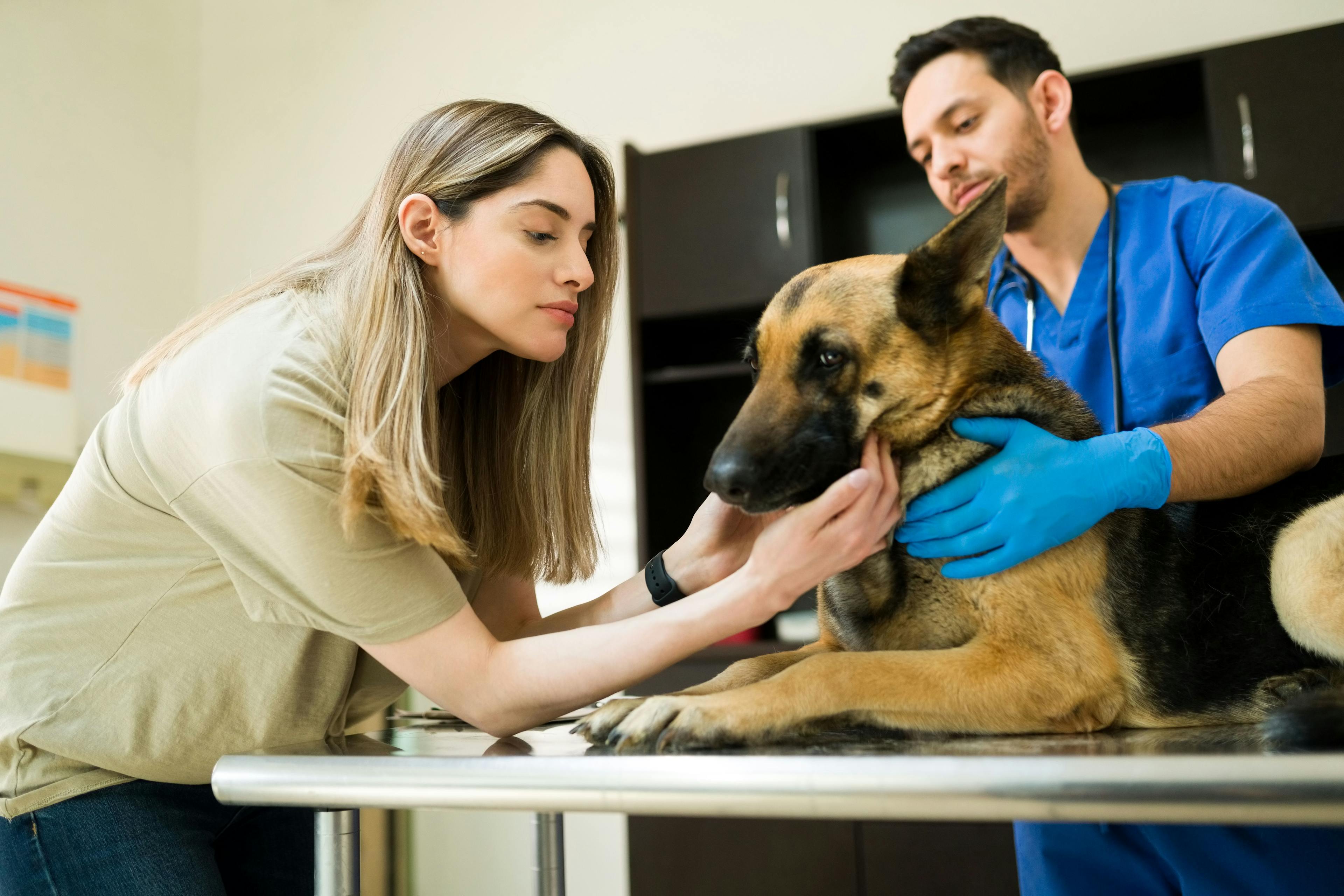Master delivering bad news to veterinary clients