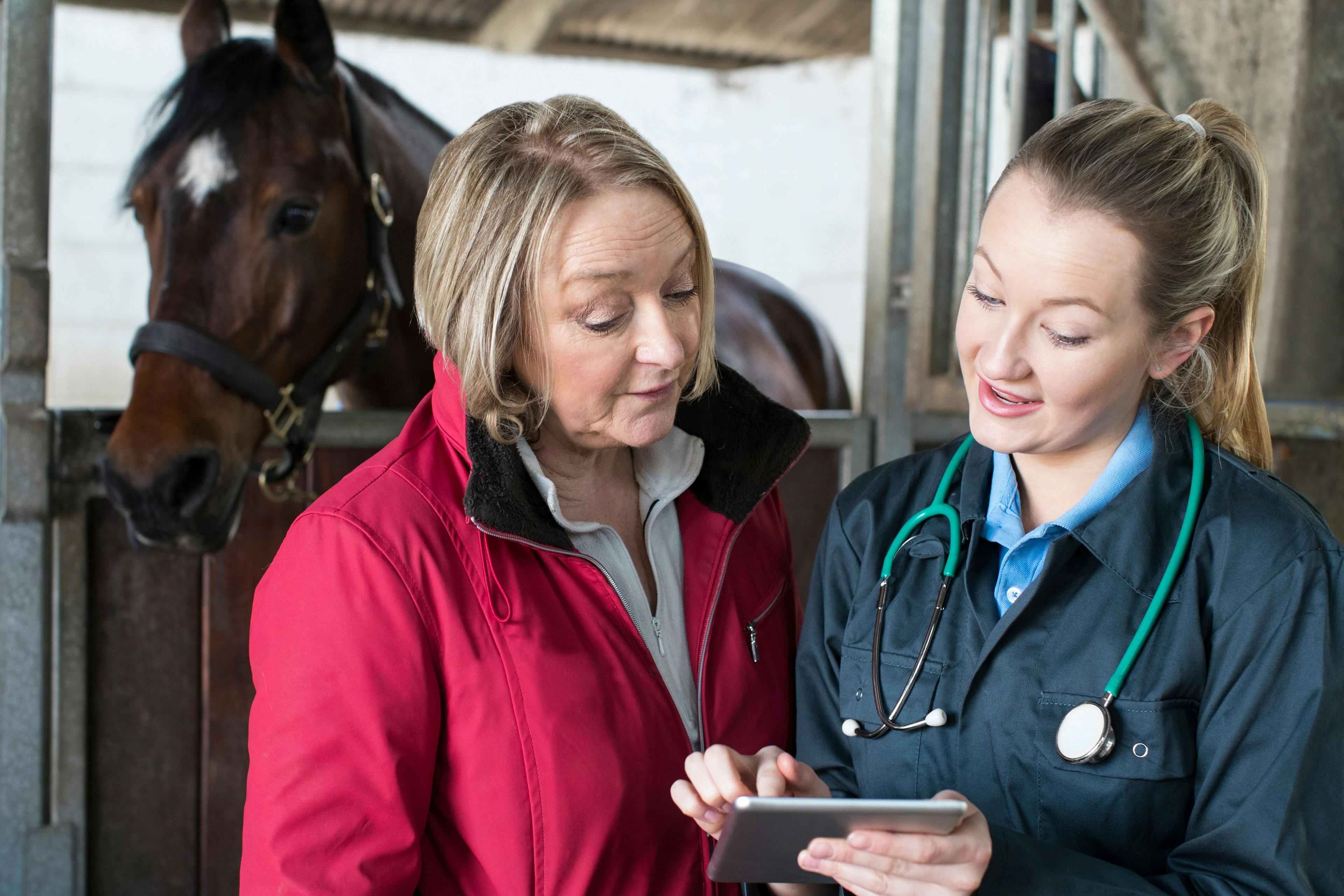 Horse owners’ confidence with common analgesia medications