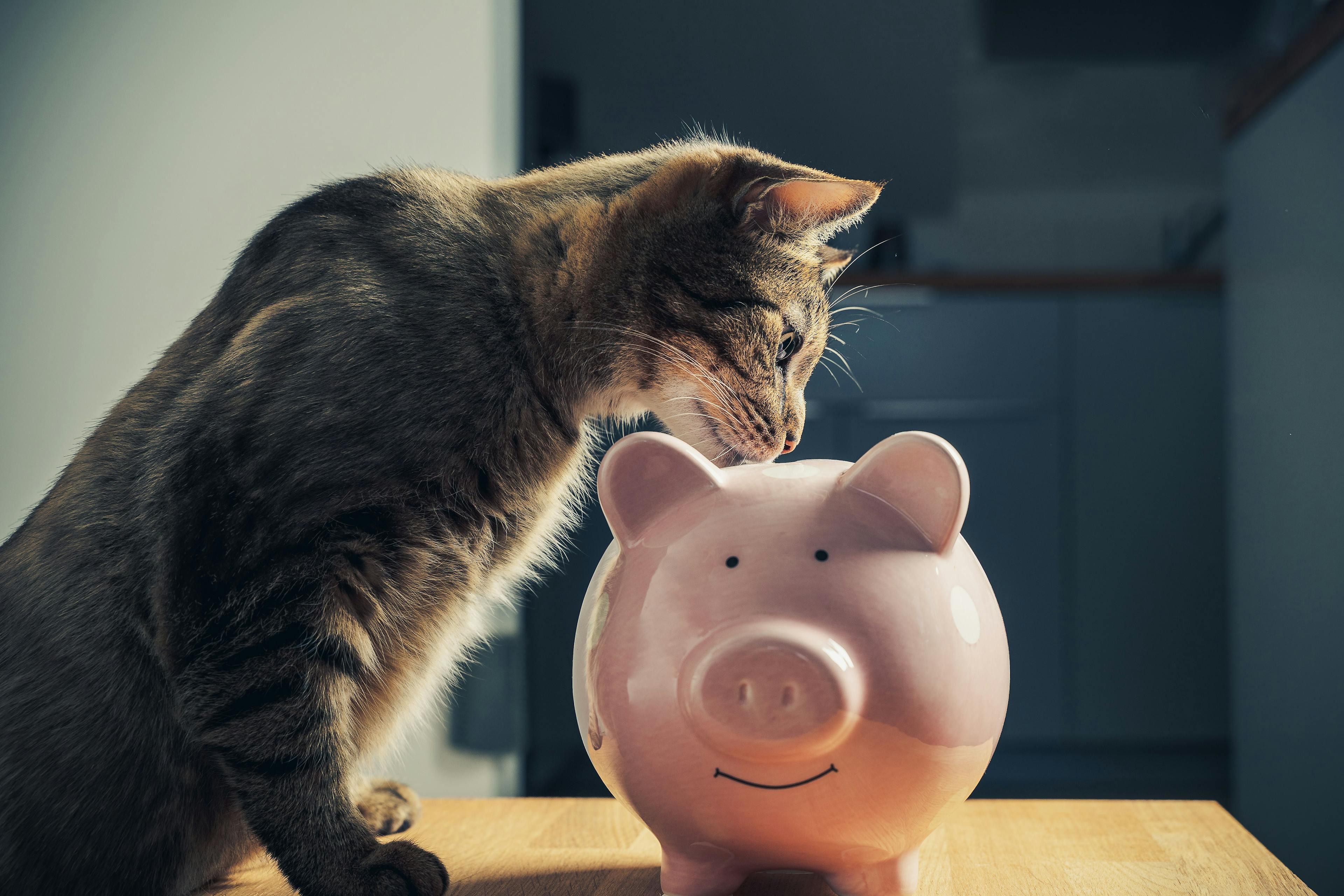 Will higher veterinary fees fuel pet health insurance?