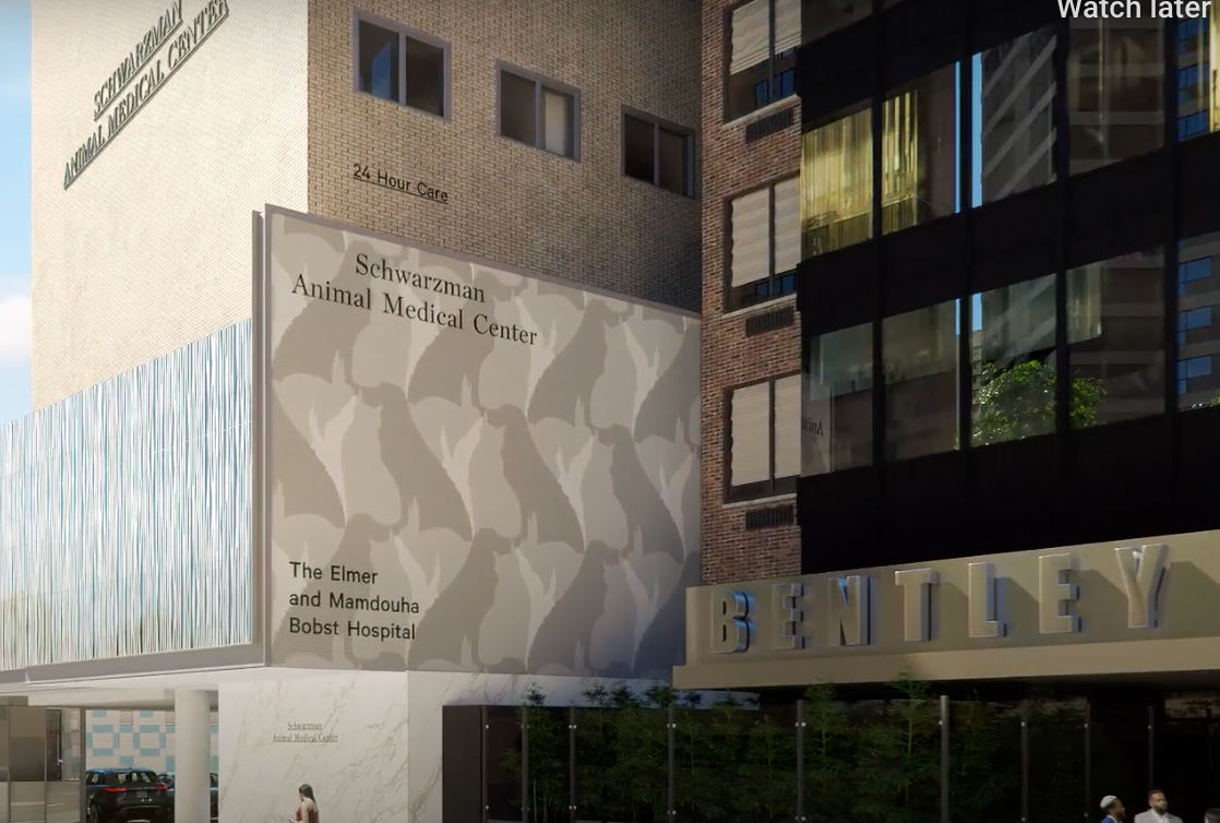 Rendering of the updated Schwarzman Animal Medical Center, planned for completion in 2024 (Photo courtesy of the Schwarzman Animal Medical Center). 