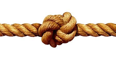 veterinary-rope-knot-isolated-on-a-white-background-450px-shutterstock-310989119.jpg
