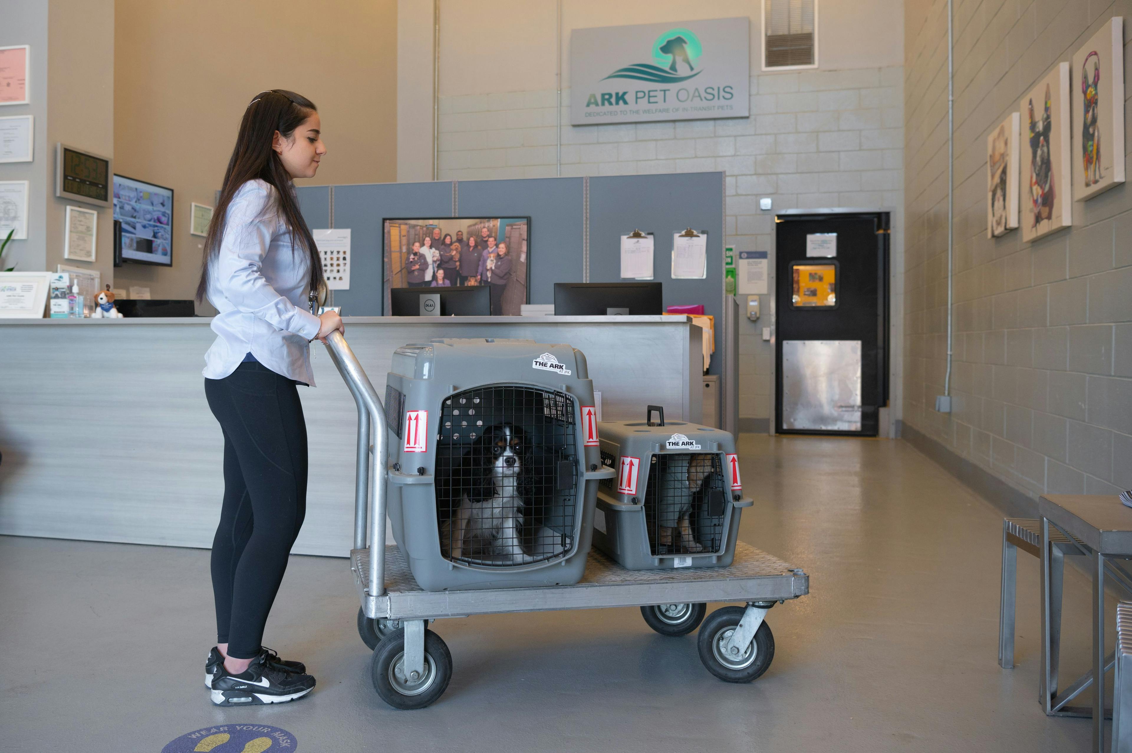 Ark at JFK teams up with Zoundz to ease pet anxiety during travel