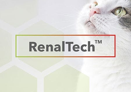 renaltech logo