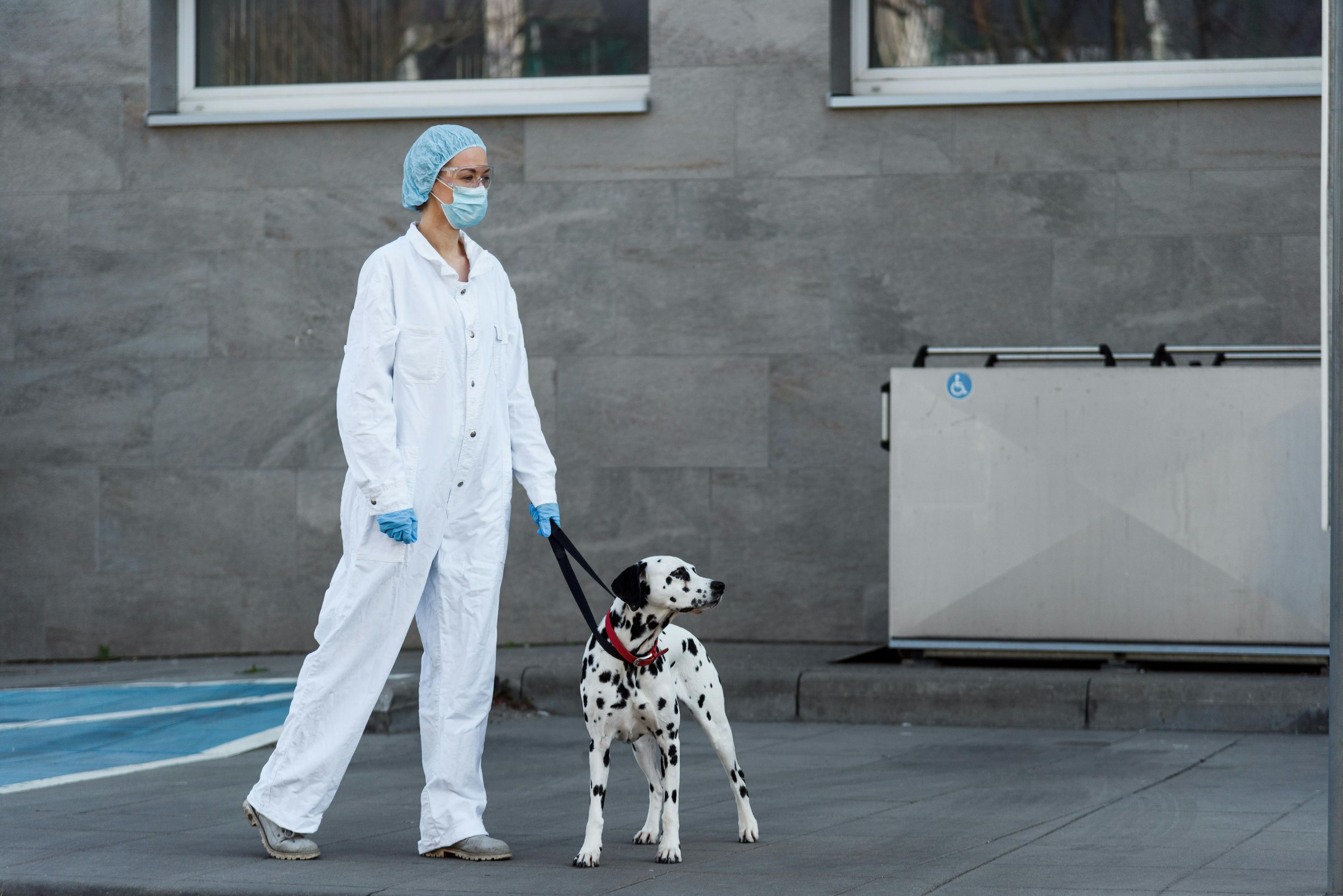 Veterinary infectious diseases in 2023: Will the surge continue?
