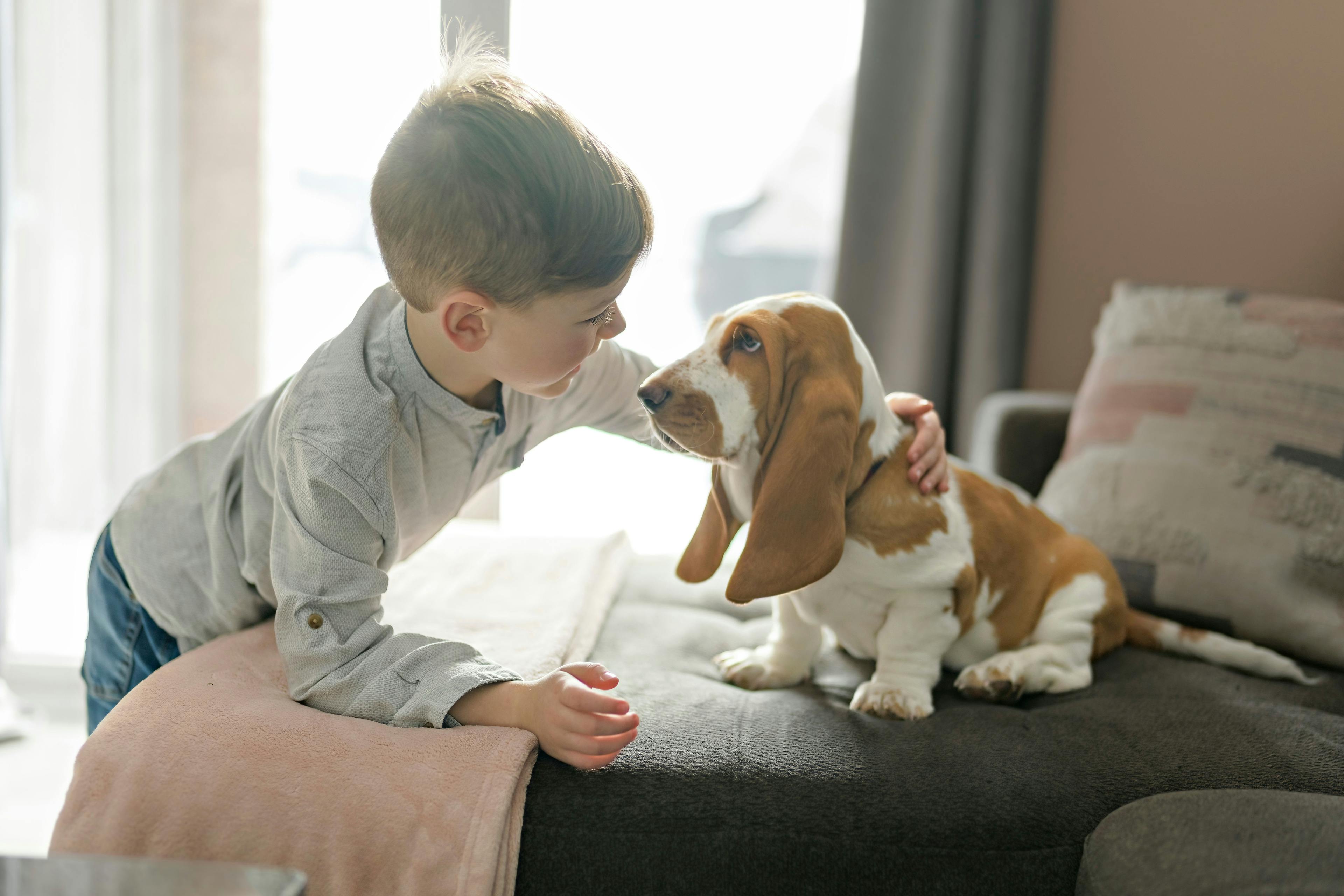 Tips and tricks for easing dog separation anxiety as kids return to school 