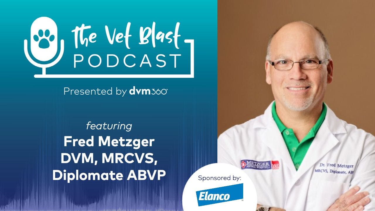 Podcast CE: New guidelines in the management of canine parvovirus