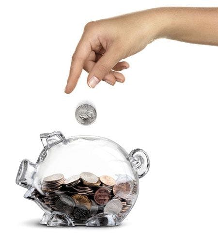 veterinary_Female-hand-dropping-a-coin-into-a-clear-piggy-bank-half-filled-with-coins-isolated-over-white-_450px_168491109.jpg