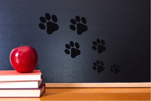 Paws and learn—back to school is a reminder to unleash your potential