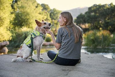 Petco and Backcountry collaborate to offer outdoor pet gear collection