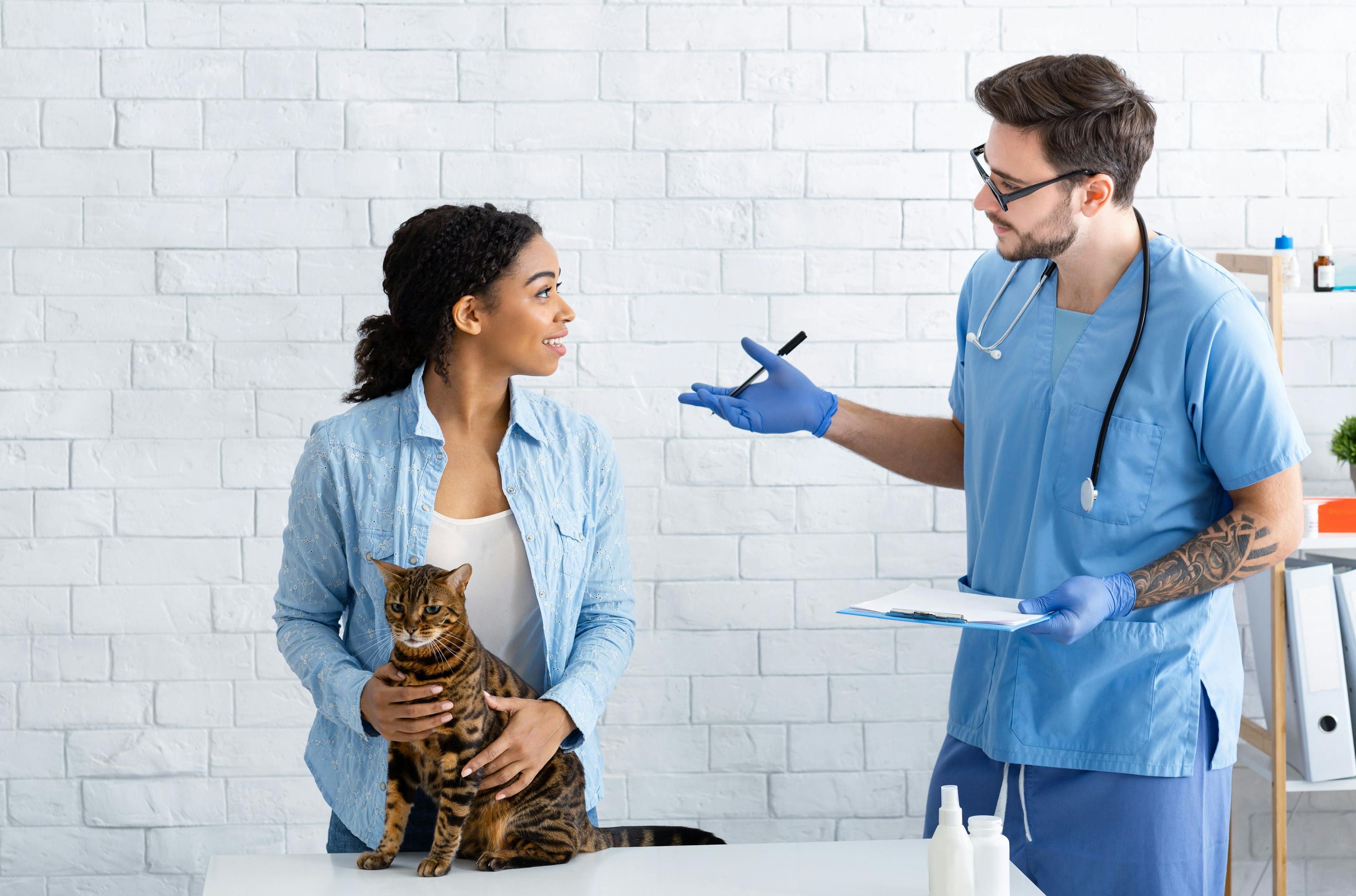 Tips and tricks on talking dermatology with your veterinary clients