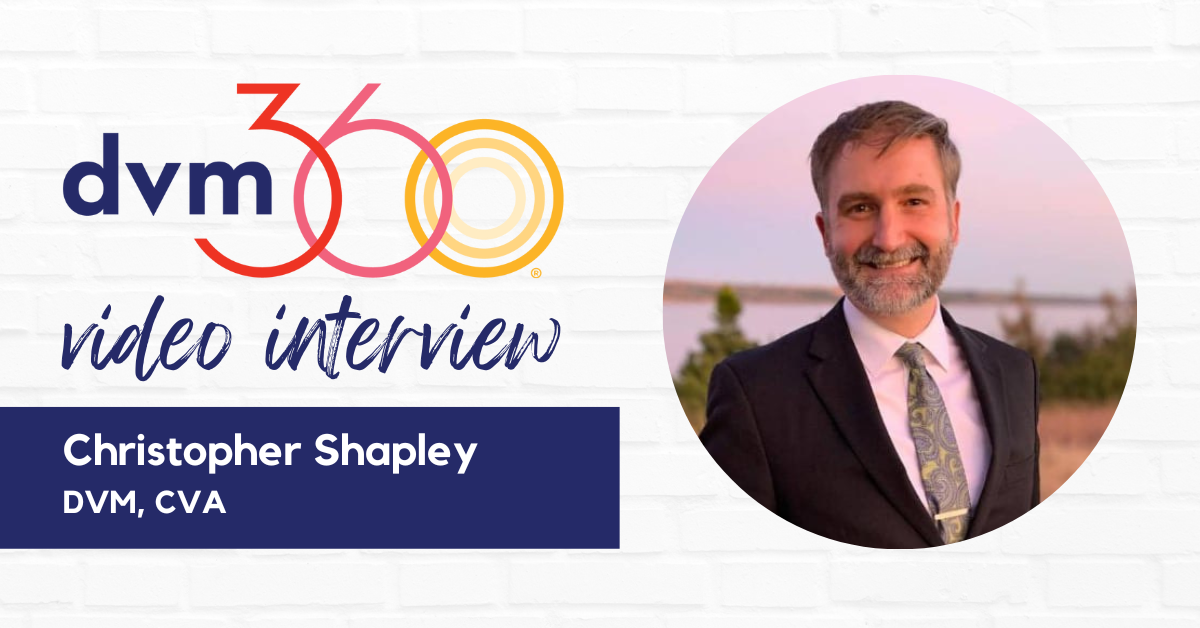 christopher shapley interview