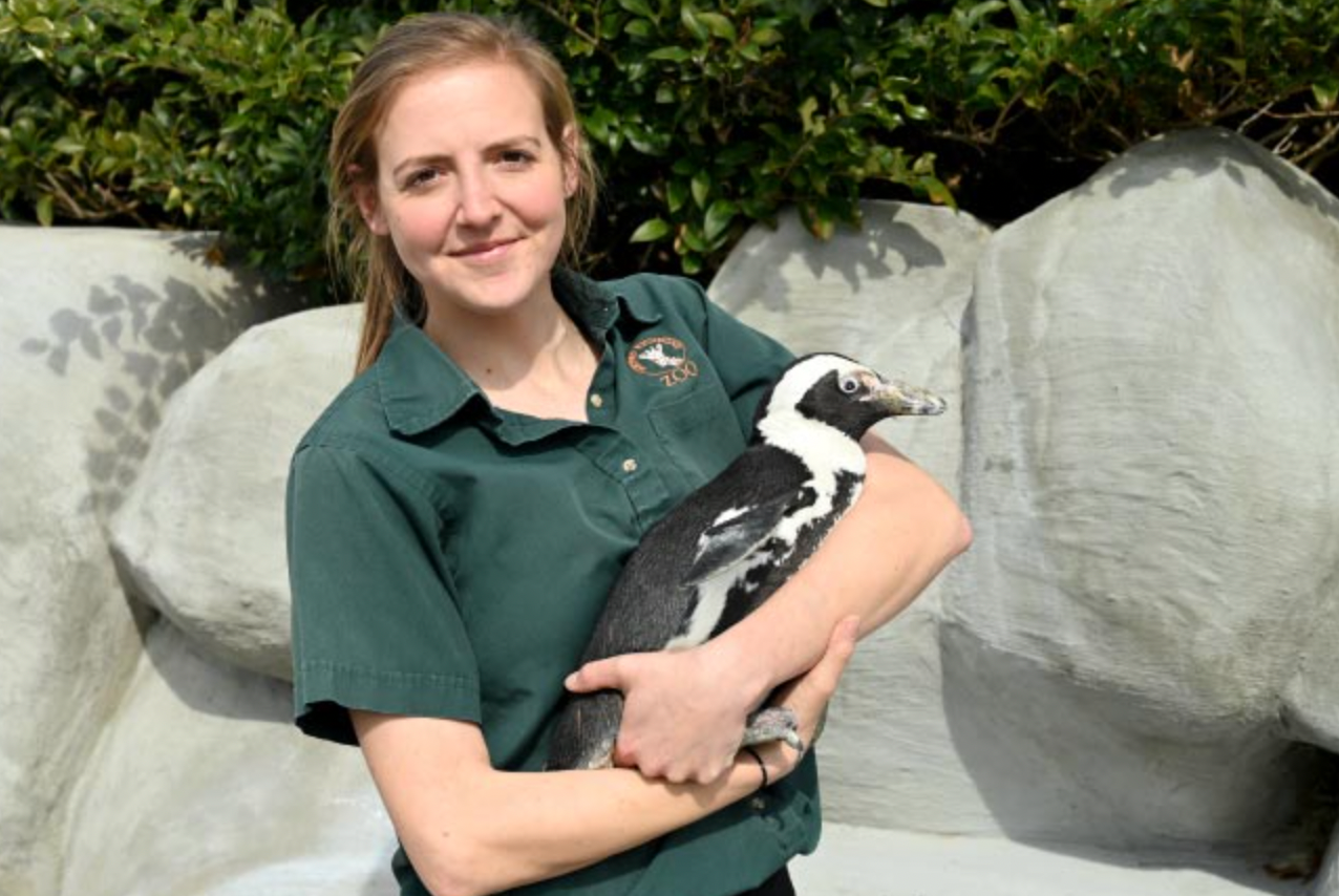 Lead zookeeper Jessica Gring holding ET. 