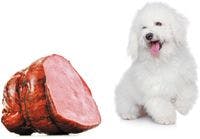 veterinary-dog-ham-bichon-kosher-465206473_470191479-838506-1404210621746.jpg