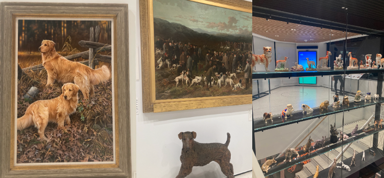 A look inside the marvelous artwork at the AKC Museum of the Dog. 