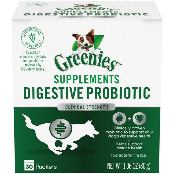 New supplement powder with probiotic supports canine digestive health 