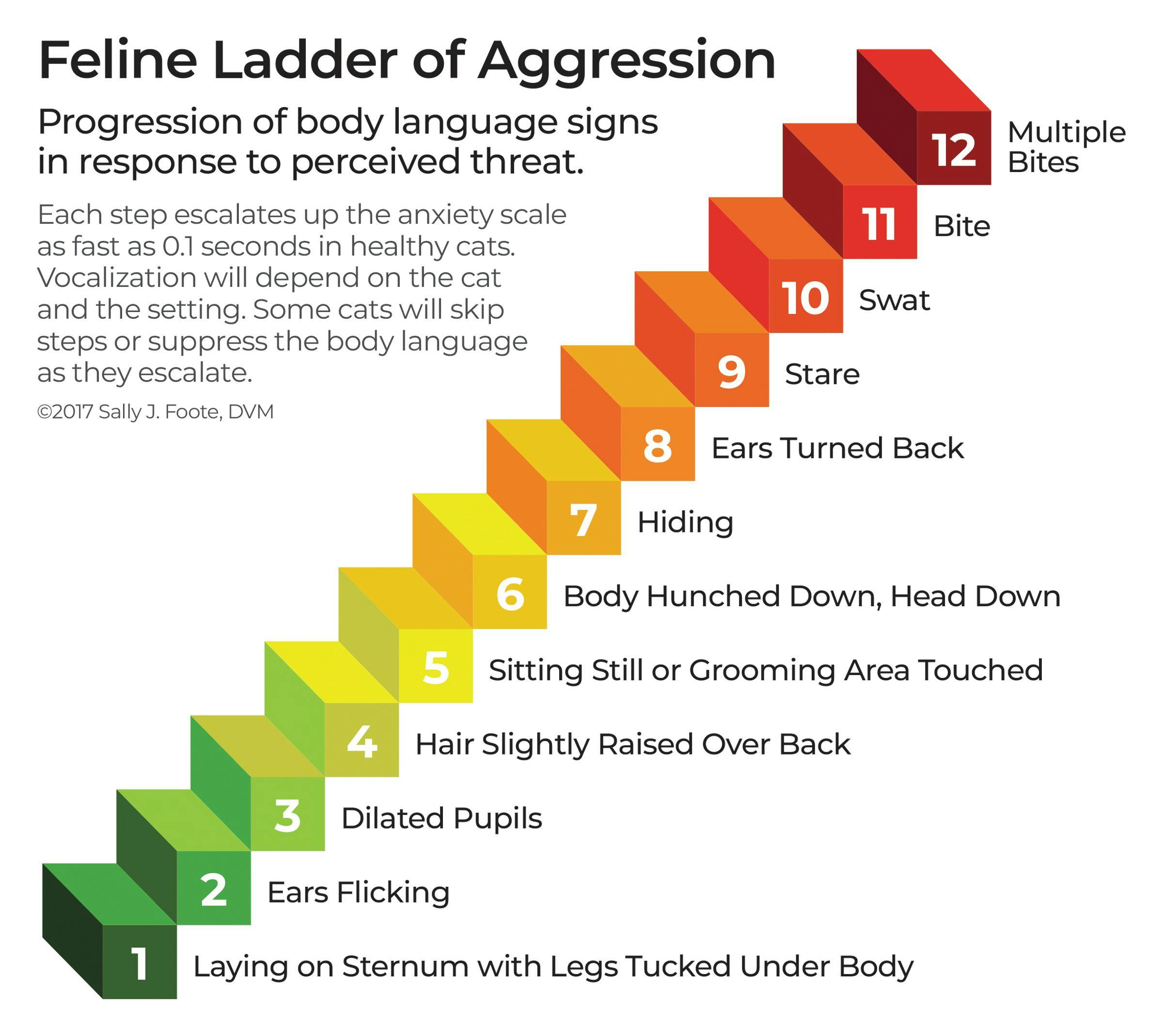 Figure 1: Behavior assessment tool: The Feline Ladder of Aggression walks caregivers through escalating signs of feline aggression. (Courtesy of Sally Foote, DVM, CABC-IAABC, LSHC-S, FFE)