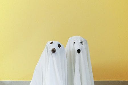 veterinary-two-dogs-wearing-a-ghost-costume-450xp-shutterstock-1046124337.jpg