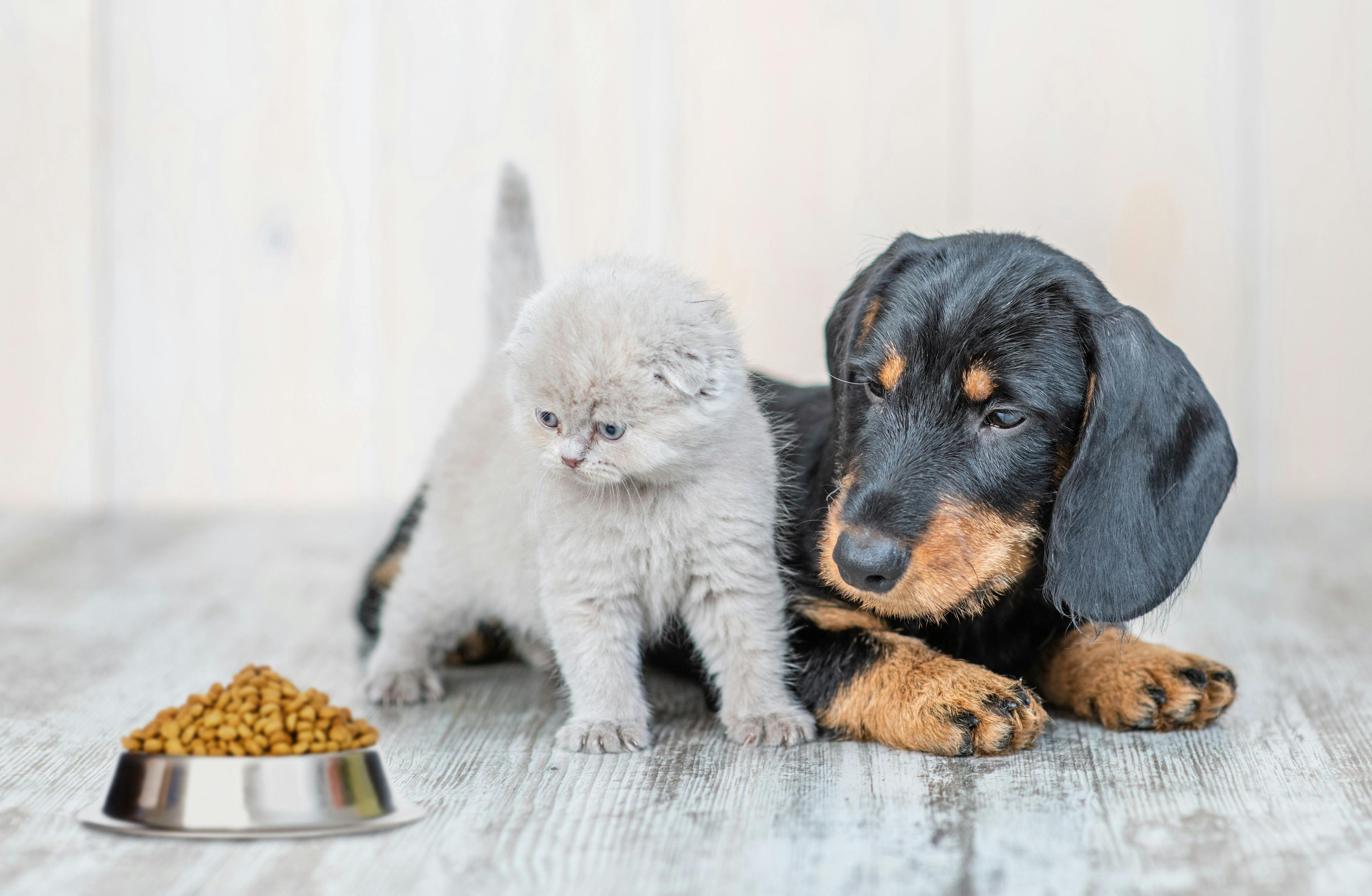 Royal Canin announces expansion of GI diet line