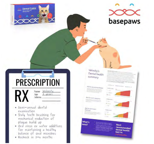 Figure 2. Basepaws’ mission is to improve the health and well-being of every pet. Veterinarians can now use the Dental CatKit to identify risk for developing periodontal disease, tooth resorption, and halitosis, and make follow-up recommendations for feline patients.