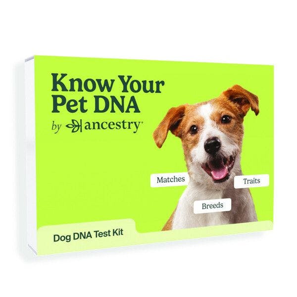 Ancestry unveils Know Your Pet DNA