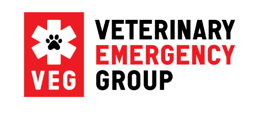  Veterinary Emergency Group launches new fellowship program 