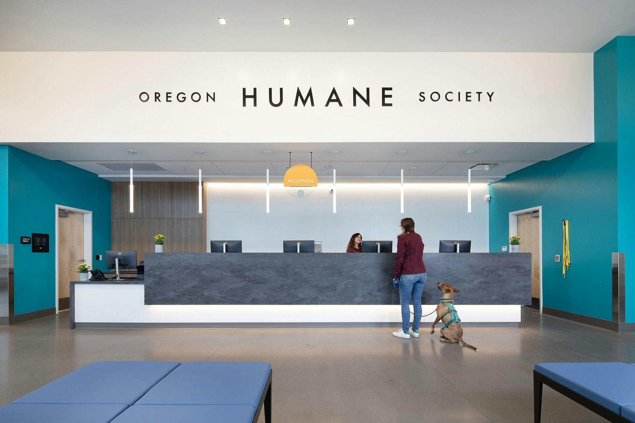 Nonprofit animal hospital relies on design to create welcoming spaces