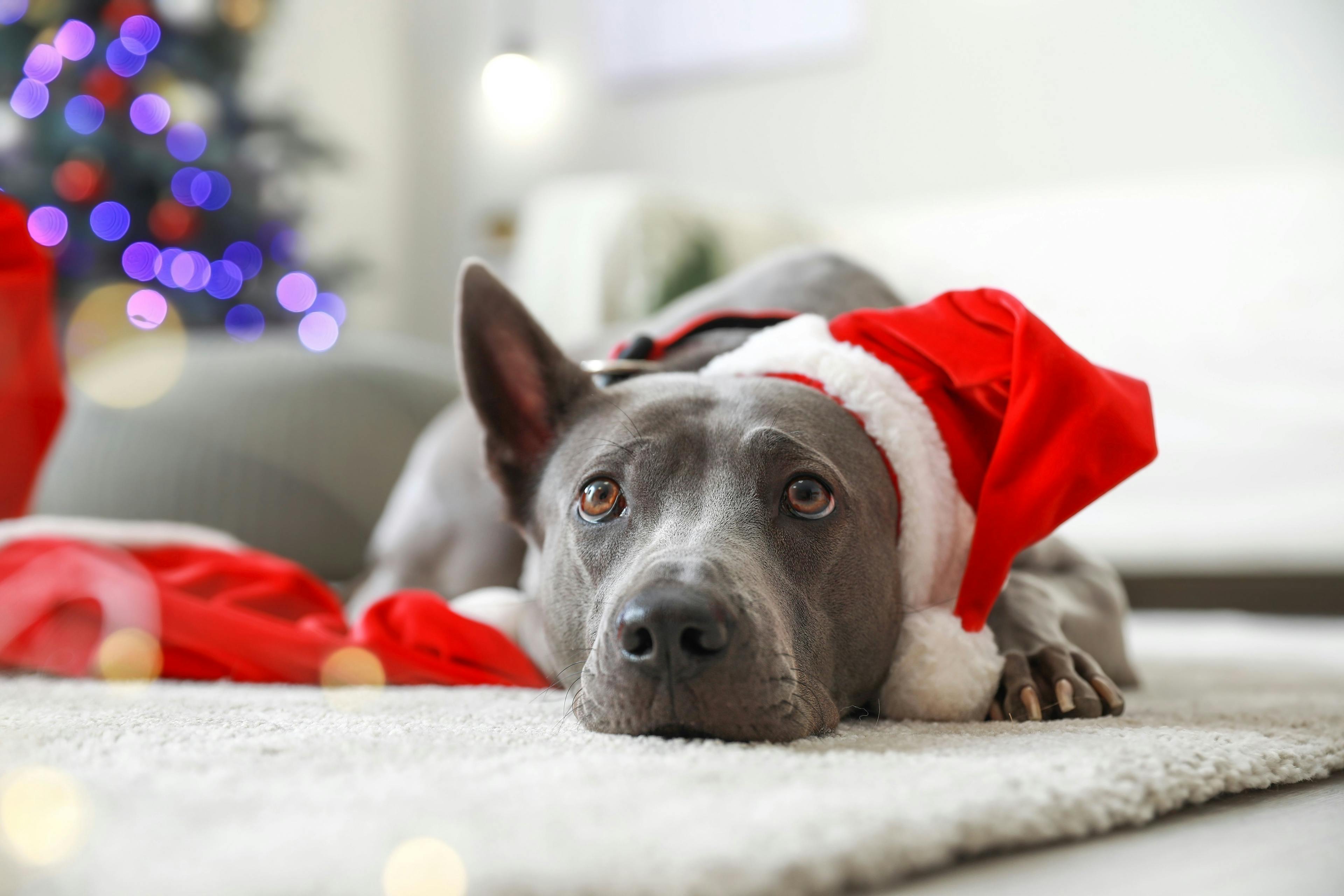 3 Tips to help you manage the extra stress this holiday season