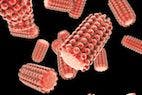 CDC Unveils New Rapid Rabies Detection Test