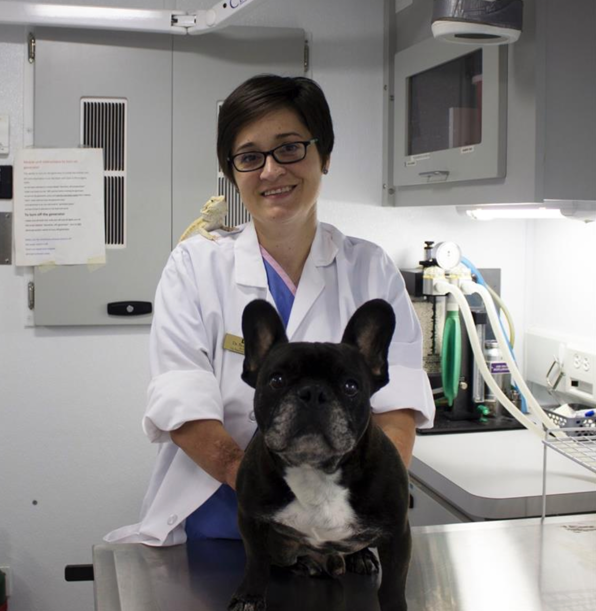 Unwavering spirit: A veterinarian’s inspiring story into veterinary medicine