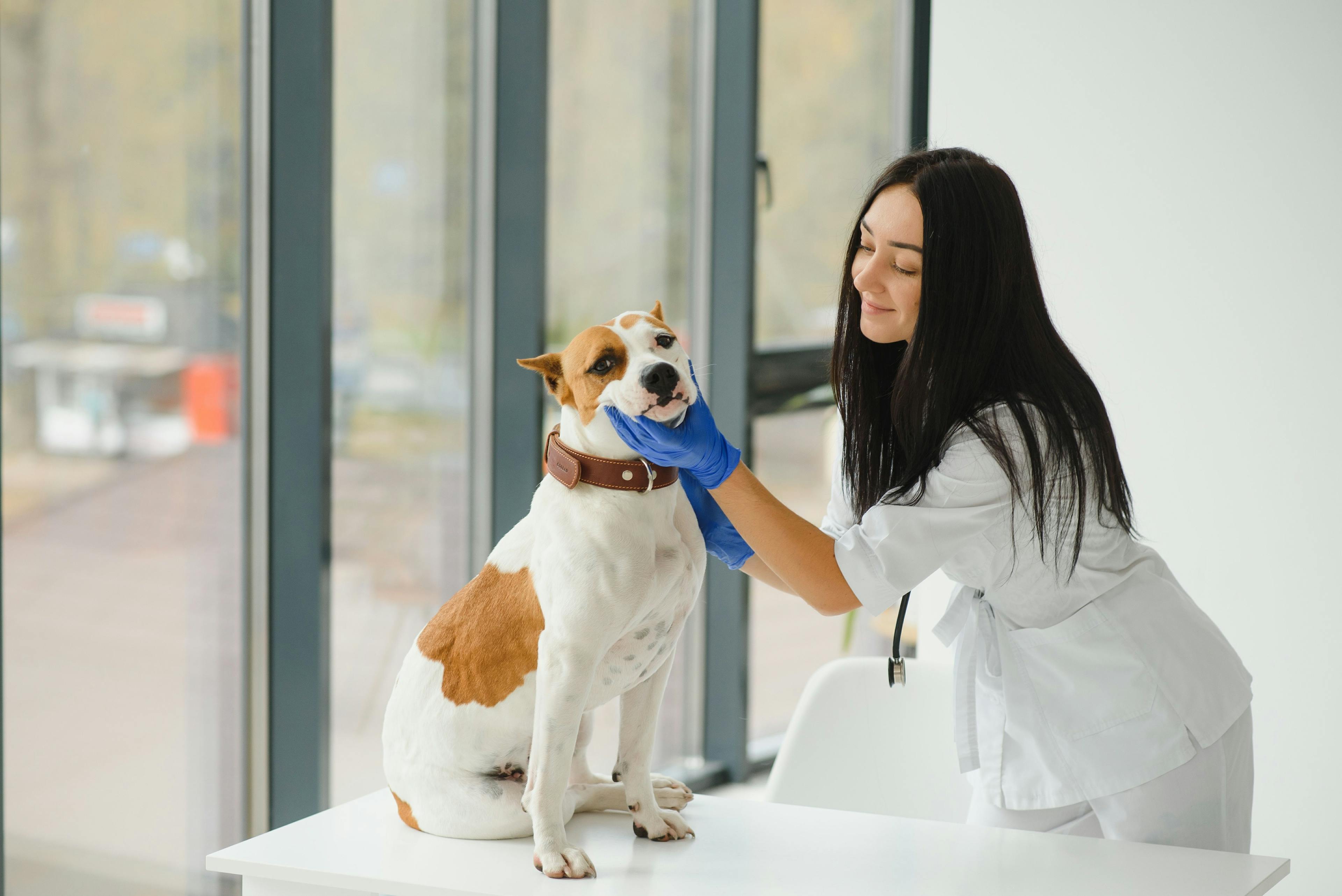 Veterinary network eliminates non-compete clauses
