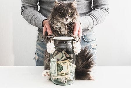veterinary-man-with-cat-and-jar-money_AdobeStock_189920969-450.jpg