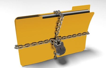 veterinary-folder-with-chain-and-padlock-hidden-data-security-3d-render-411123883_450px.jpg