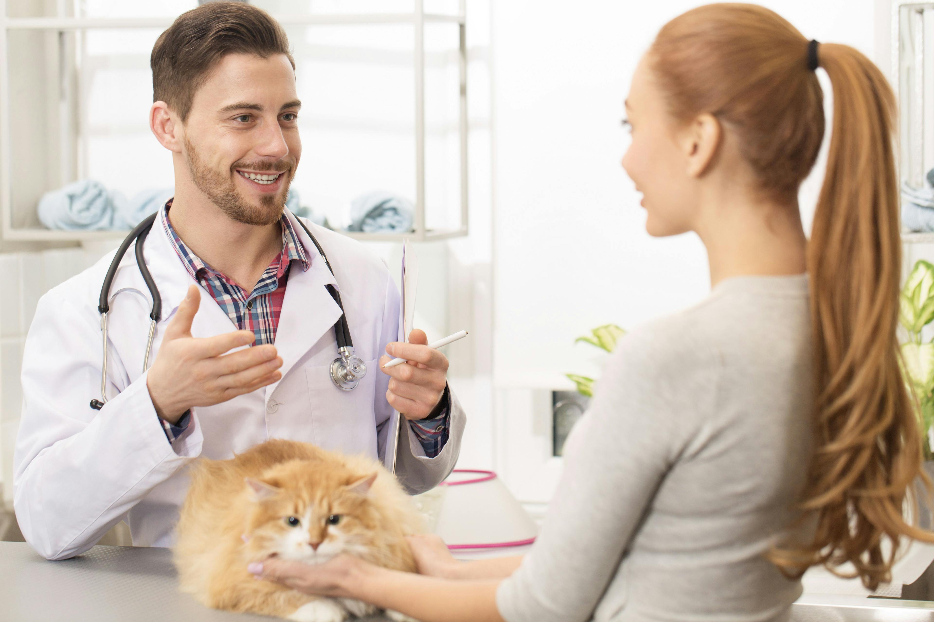 How to be more direct with your veterinary clients